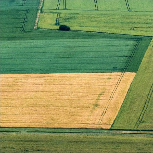 La Ferté-Vidame et escapade jouissive dans la plaine - La Ferté-Vidame - 1