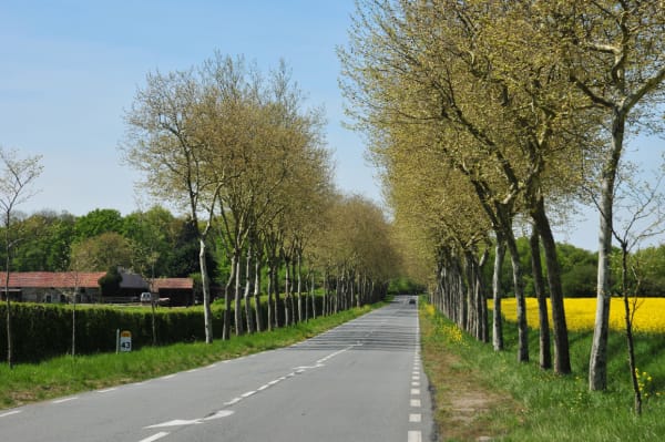 Gazeran et vadrouille irrésistible à VTT dans les bois - Gazeran - 1