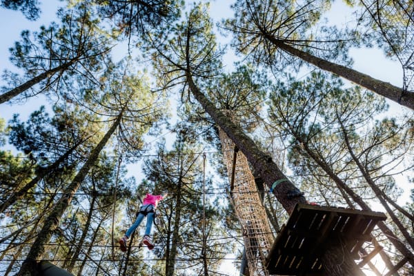 Dans les Landes : du pin et des jeux - Lit-et-Mixe - 1