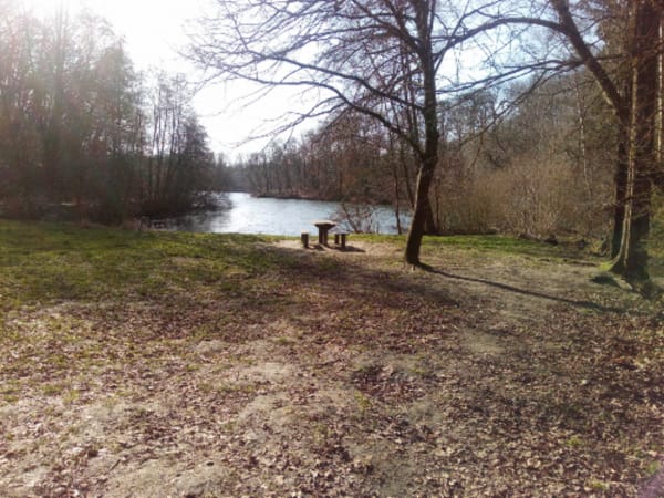 Etangs aux mille reflets entre Guyancourt et Versailles - La Mare Jarry - 1