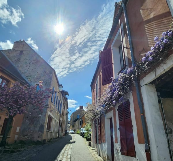 Découverte de Gif-sur-Yvette et sa forêt somptueuse - Bures-sur-Yvette - 1
