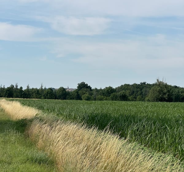 Balade aux alentour de Blan - Blan - 1