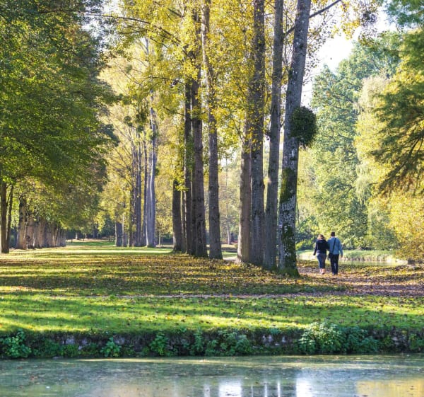 Rambouillet à VTT et splendide immersion en forêt - Rambouillet - 1