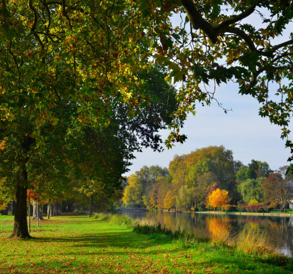 Boucle à Chantilly et la Vallée de la Nonette - Chantilly - 1