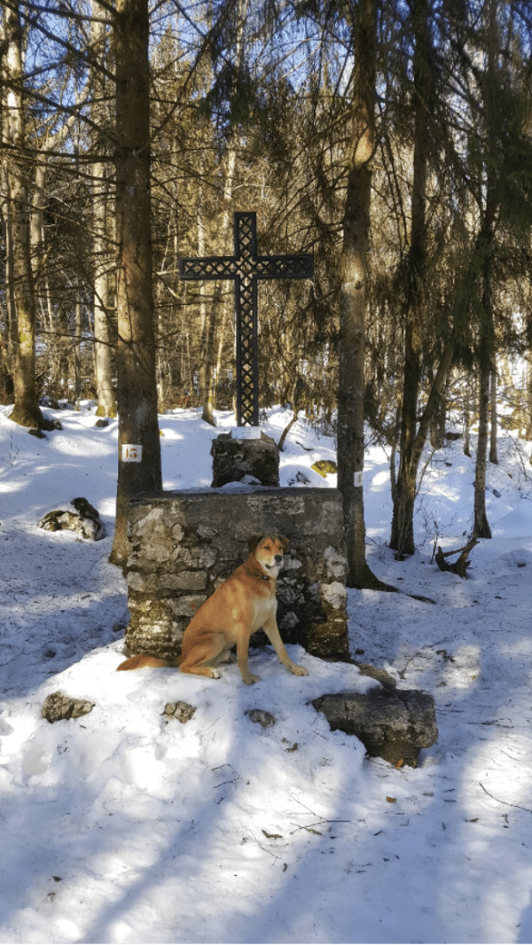 Montagne de l’Epine et ses lieux de passage historiques - Saint-Sulpice - 1