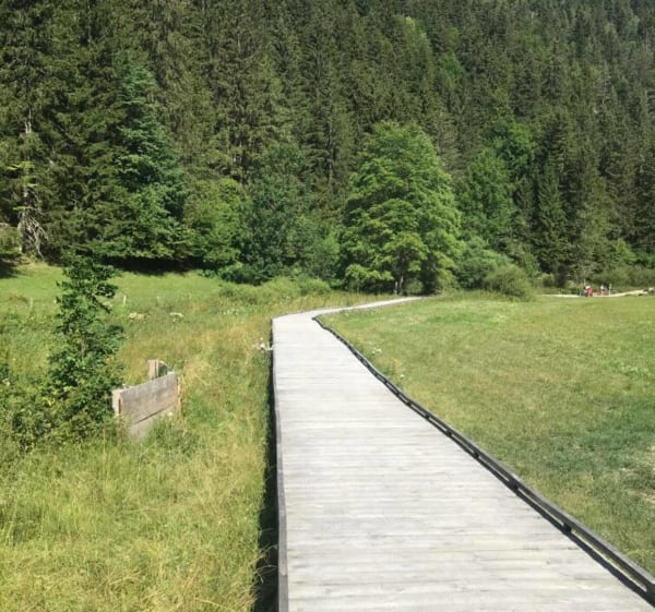Méaudre - Villard-de-Lans et filer au gré du vent au Vercors - Méaudre - 1