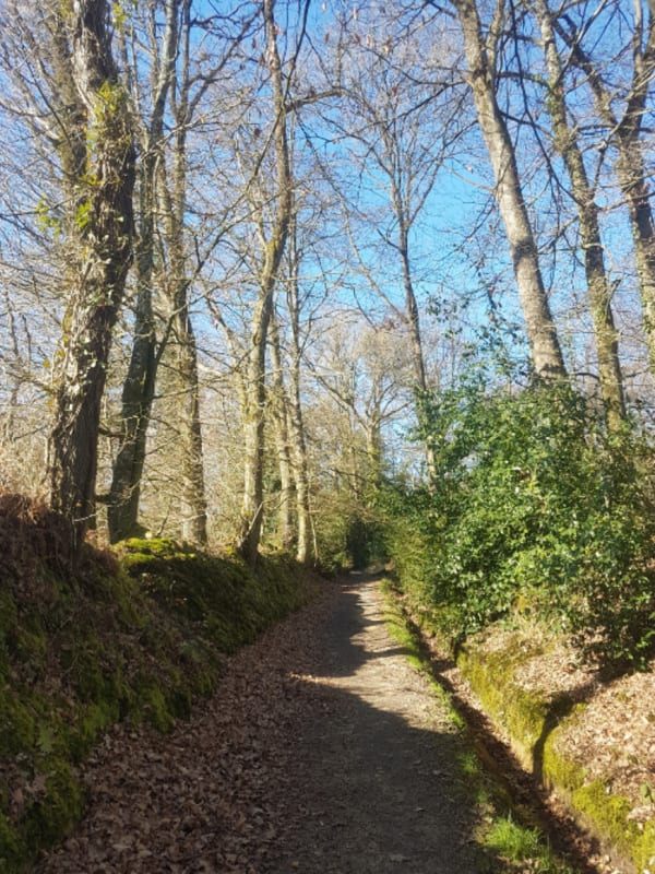 Trélivan et excursion champêtre à l'étang du Val - Trélivan - 1