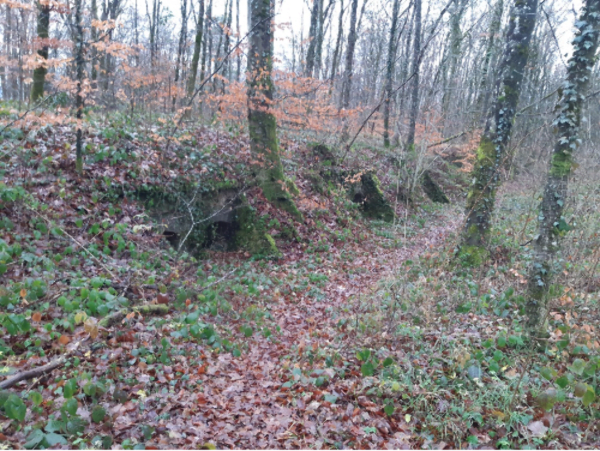 Fort du Mont-Vaudois et histoire militaire de Belfort - Decathlon - 1