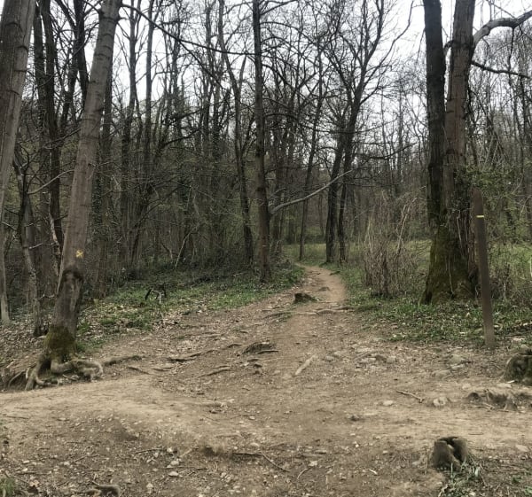 Tour du bois de Pératière depuis Poisat - Poisat - 1