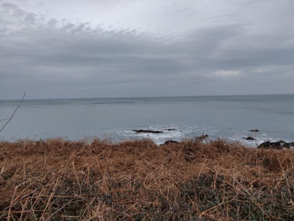 Omonville-la-Rogue par le GR® 223 et jolies vues sur la mer - Hameau Gruchy, La Hague - 1