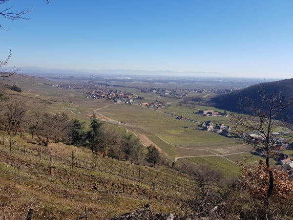 Schlossberg et ses vignobles de Kaysersberg à Riquewhir - Decathlon - 1