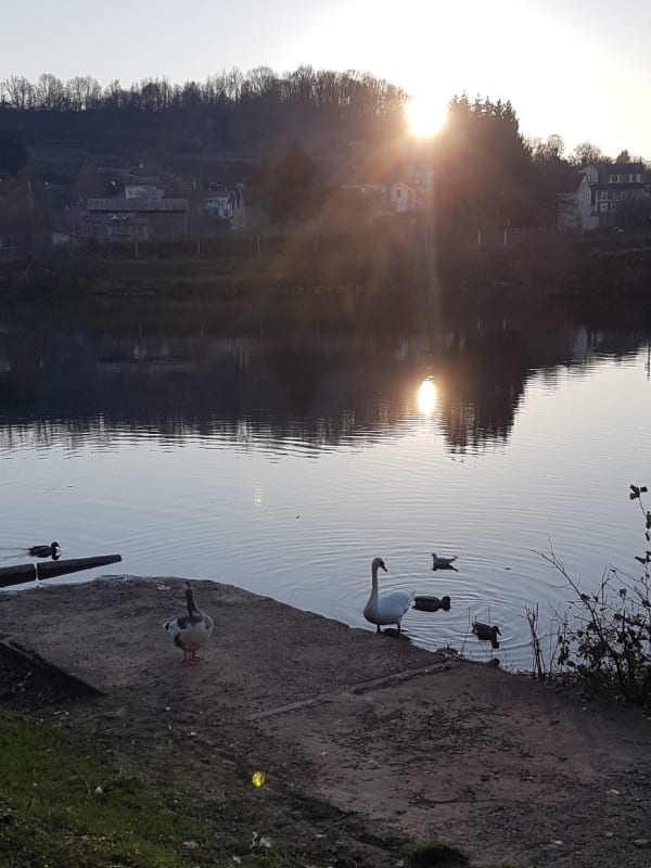 Nouzonville et sa balade entre bois et bords de Meuse - Charleville-Mézières - 1