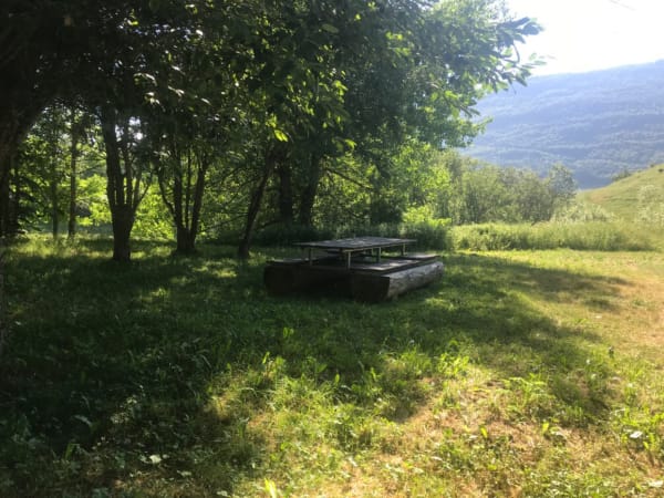 Vallon du Furon et sa merveilleuse flore sauvage - Lans en Vercors - 1