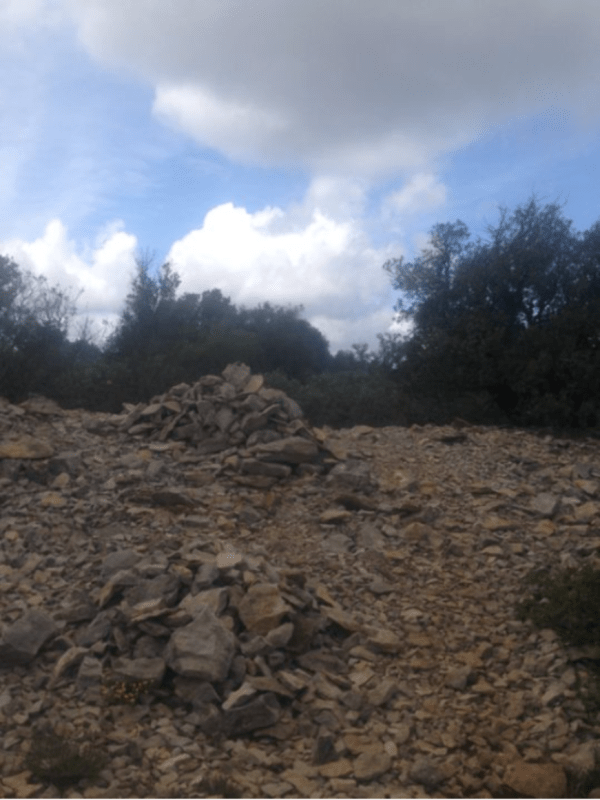Secrets Provençaux et vue sur l'oppidum oublié de Rocbaron - Rocbaron - 1