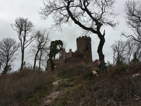 Châteaux de Ribeauvillé et balade sensationnelle en Alsace - Ribeauvillé - 1