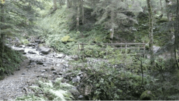 Escapade en forêt et mémoire des bûcherons de Belledonne - Les Seiglières - 1