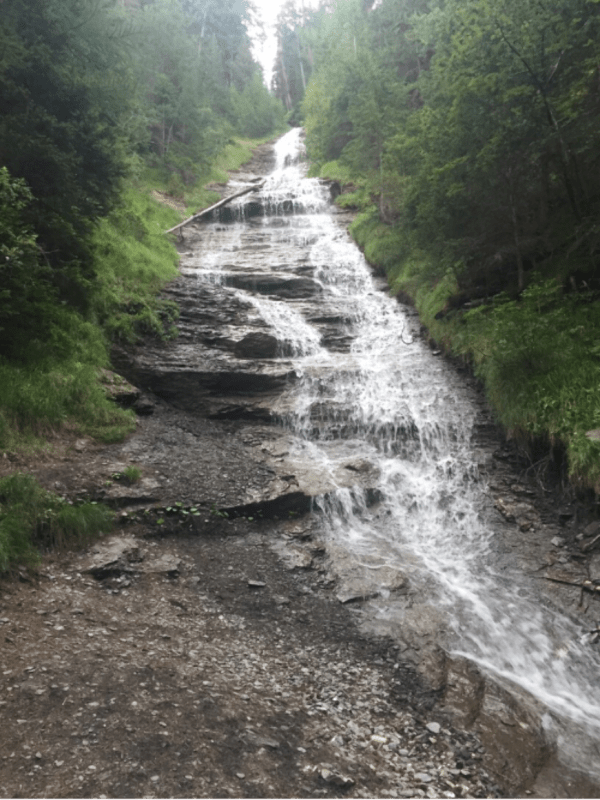 Découverte de Landry et de sa nature savoyarde préservée - Lanslevillard - 1