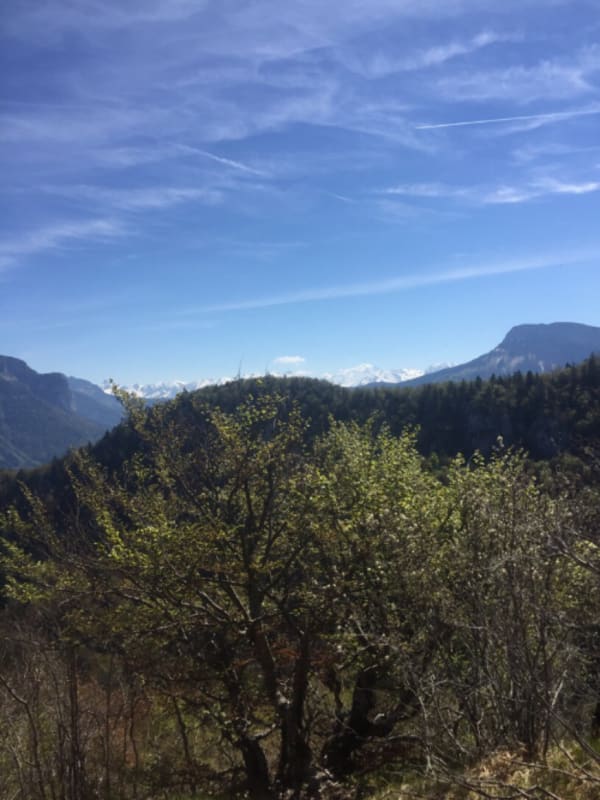 Escapade sur le Mont Veyrier et vue imprenable sur les Alpes - Veyrier-du-Lac - 1