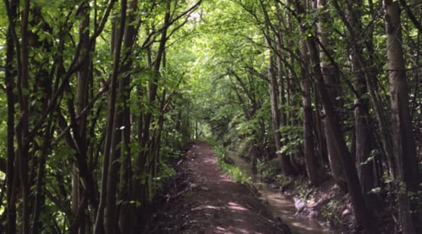 Canaux de la Guisane et sous-bois rafraîchissants - Briançon - 1