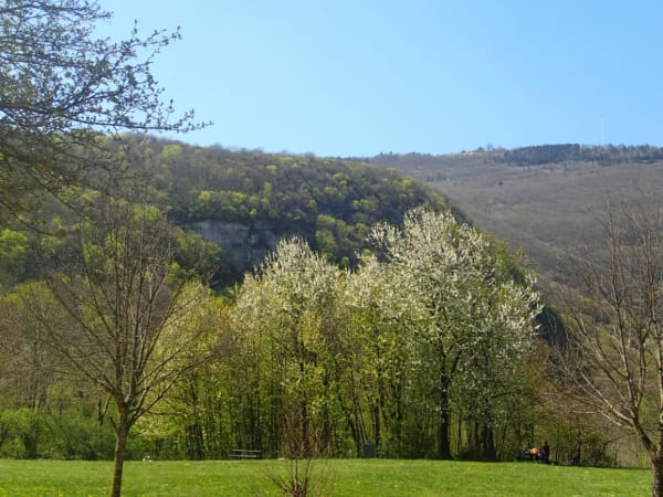 Bois Roland et rêves sur les pas de Rousseau - Seyssinet-Pariset - 1