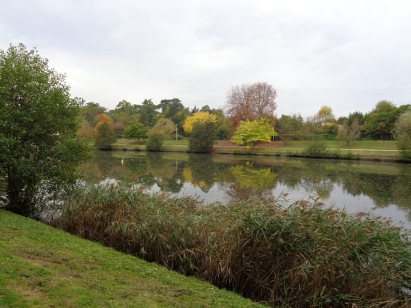 Balade au Parc de Fontaudin et quiétude près de l'étang - Pessac - 1