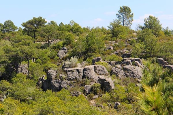 Ermitage de Saint-Guilhem-Le-Désert et magnifique écrin naturel - Decathlon - 1