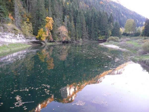 Falaises d'Engins et fraîcheur des bois - Engins - 1