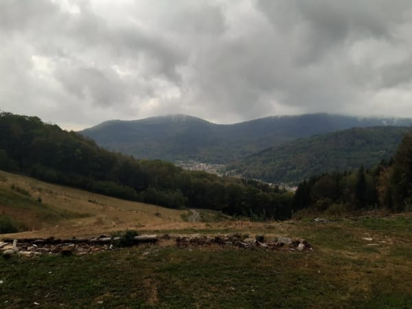 Boucle de la roche Renard et la beauté de sa forêt vosgienne - Vescemont - 1