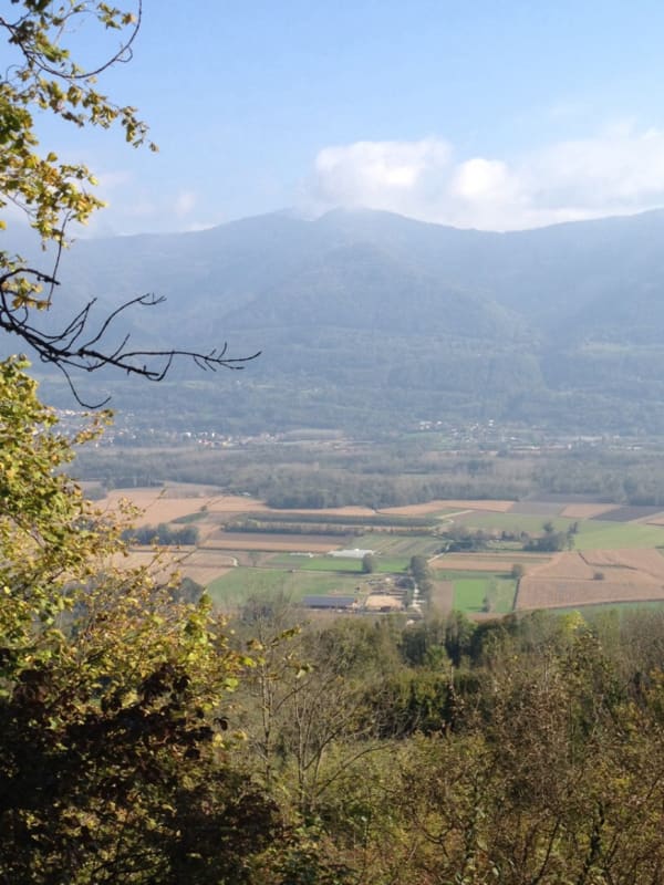 Flânerie à Montabon et balade insouciante - Montabon de la Terrasse - 1