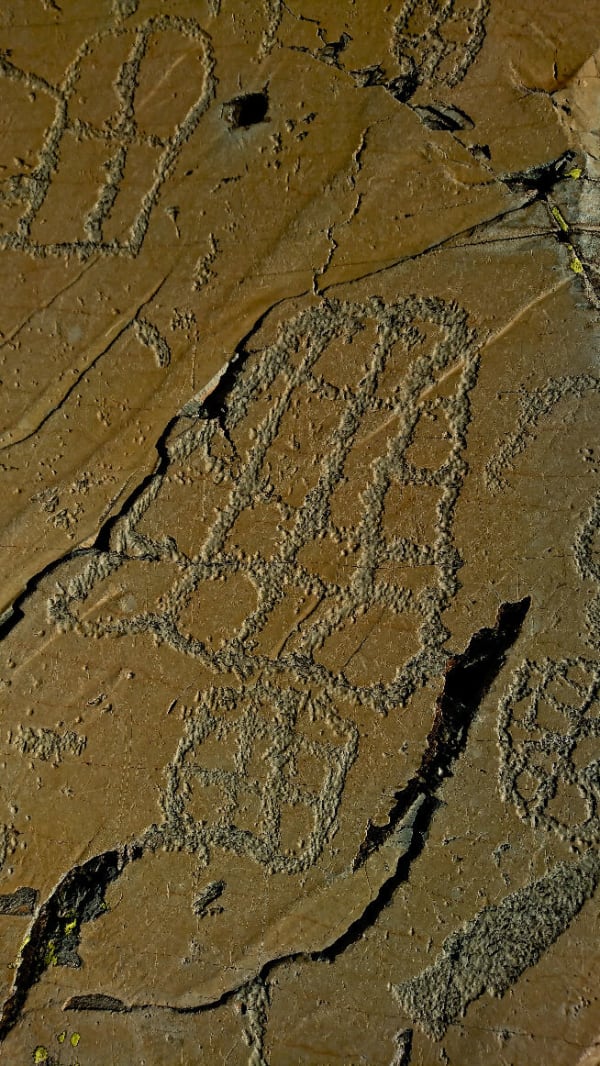 4 dagen in Mercantour en prehistorisch wandelen - Mesches - 1