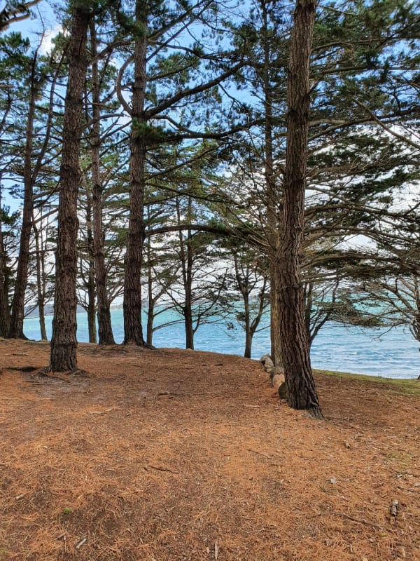 Île-aux-Moines et y faire le plus beau des châteaux de sable - Île-aux-Moines - 1