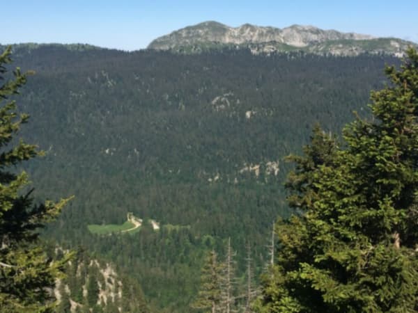 Arpenter la Chartreuse et découvrir le charmant Som Caché - Sarcenas - 1
