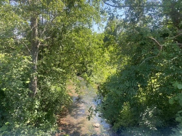 Entre Sologne et Pays Fort et son bain de nature - Autry-le-Châtel - 1