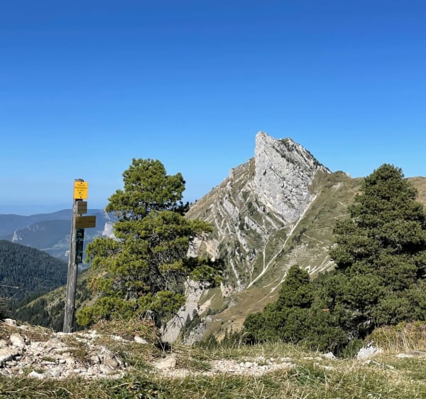 Pas de Montbrun et Rocheplane en boucle - Plateau-des-Petites-Roches - 1