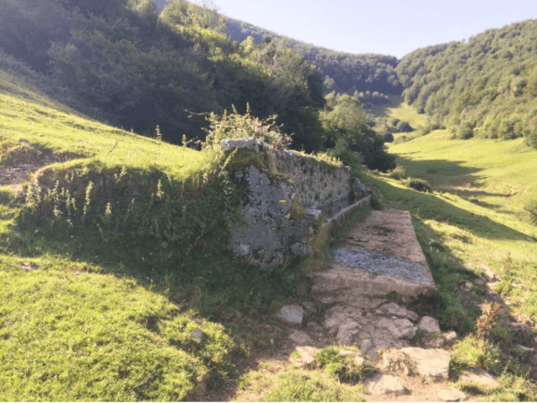 Vautours dans la vallée d'Ossau et vestiges de bergers - Castet - 1