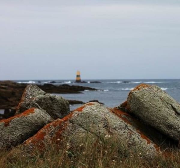 Ile d’Yeu et charme de la côte sauvage vendéenne - L'île d'Yeu - 1