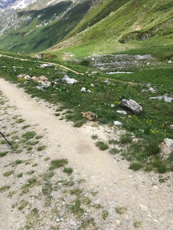 Echappée belle en Vanoise et proximité avec les glaciers - Méribel-Mottaret - 1