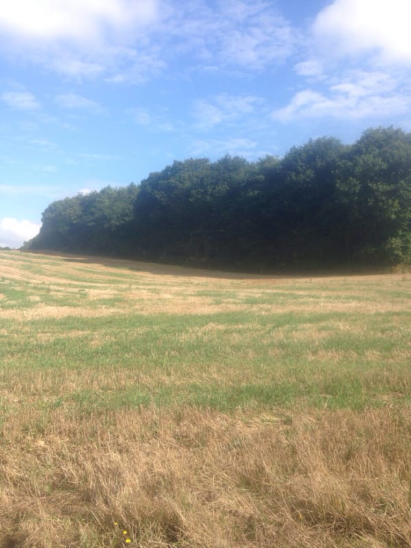 Menhir de Plaudren et excursion extraordinaire dans le bocage - Clarisse - 1
