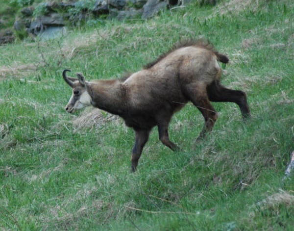 Atteindre l'Oreille du Loup et prendre un bain de nature - Fugières - 1