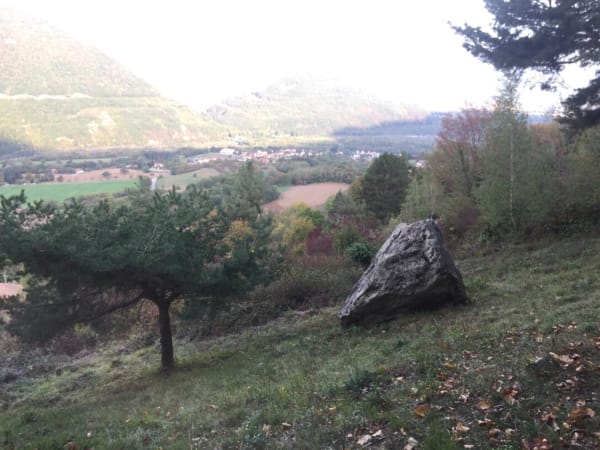 Bain de forêt et bain de soleil - Saint-Georges-De-Commiers - 1