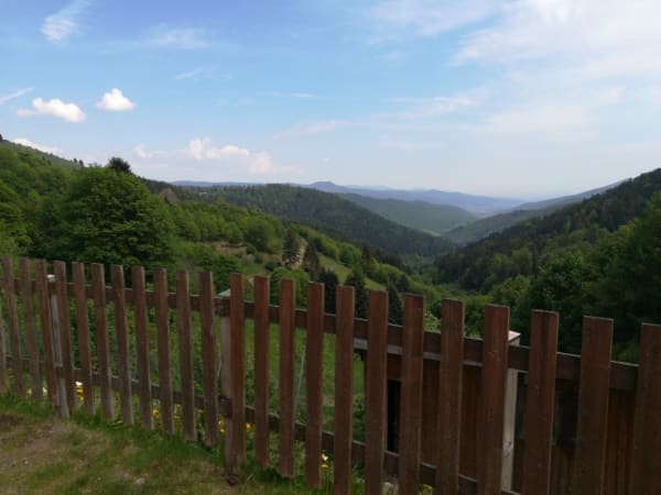 Cadre enchanteur du Petit Ballon et bol d'air en forêt - Luttenbach-près-Munster - 1