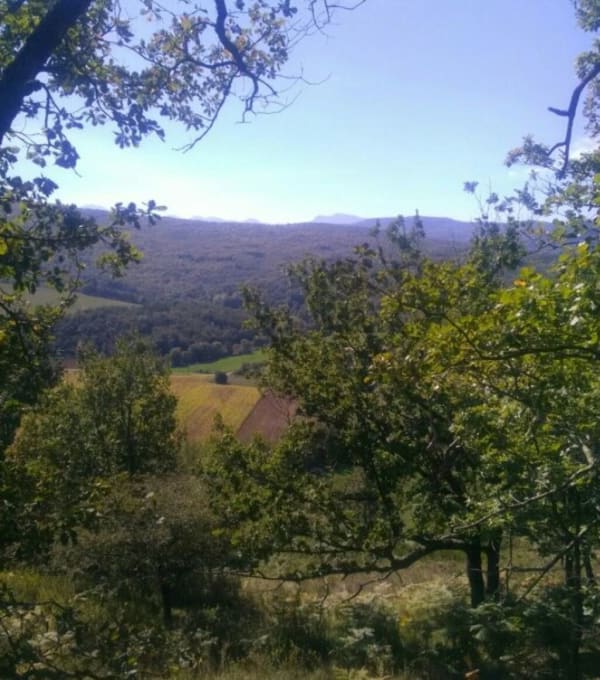 Crêtes du Sautel et flânerie au cœur de l'Ariège - Sautel - 1
