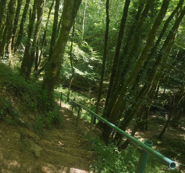 Randonnée de la cascade à Laguenne - Laguenne-sur-Avalouze - 1