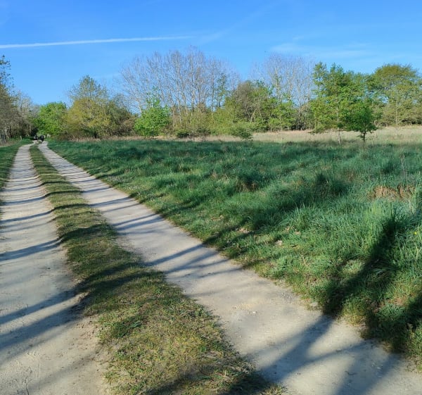Balade entre Contres et Fresnes - Le Controis-en-Sologne - 1