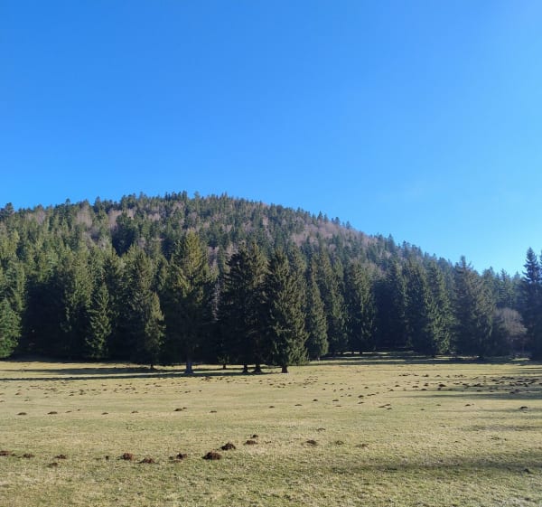 Puy de Charmont par le chemin de Charmont - Aydat - 1