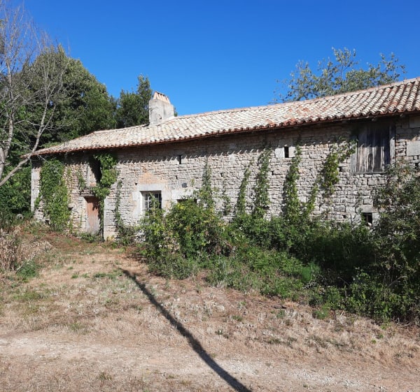Balade à Champagné-Saint-Hilaire par les moulins - Champagné-Saint-Hilaire - 1
