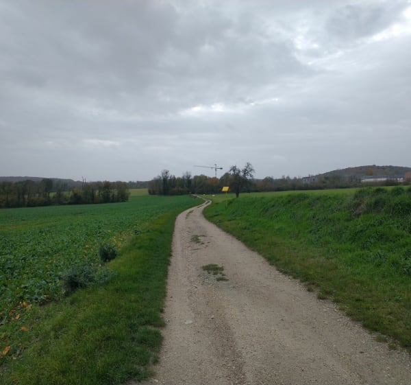 Balade d'Etrechy à Auvers entre village et forêt. - Étréchy - 1