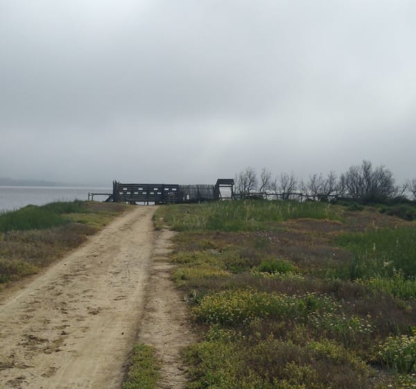 Au bout c'est l'étang de Saint Nazaire - Perpignan - 1