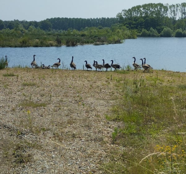 Boucle entre Sarthe et Maine-et-Loire - La Flèche - 1