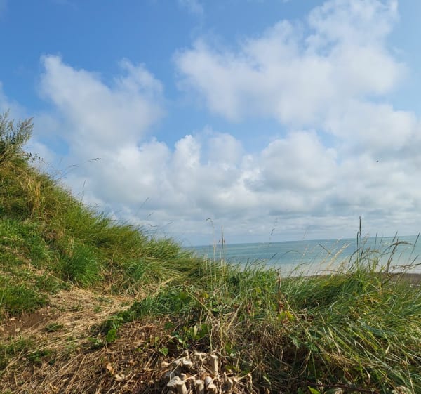 Saint Valery en Caux - Paluel - 1